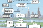 杭州申请失业金流程详解，从申请到领取的全面指南