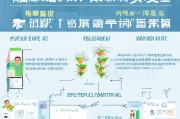 非武汉居民补贴申请指南，政策解读、流程详解与注意事项