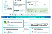企业复工补贴申请全指南，政策解读、流程步骤与注意事项