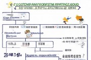 香港雇佣补贴申请全攻略，条件、流程、注意事项详解