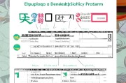 东莞就业补贴申请月份指南，政策解读与时间规划