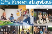 训犬行业如何精准获客？这5种方法让你的训犬业务快速起飞！