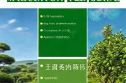 茶油树补贴申请全指南，政策解读、条件、流程与注意事项