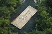无名票根上海怎么领取？了解上海选举背后的无名之林