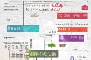 长沙购房补贴申请全攻略，条件、流程、材料一文读懂
