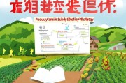 福州家庭农场申请补贴全攻略，政策解读、流程指南与成功案例