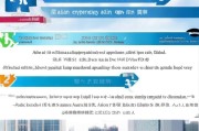 大连新能源补贴申请网站全攻略，从登录到领取，一文详解流程与注意事项