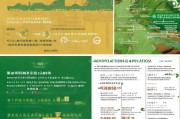 扶绥市坚果种植补贴申请指南，政策解读、流程详解与注意事项