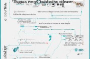 获客宝订单如何来？揭秘平台获客宝订单获取全流程与实用技巧