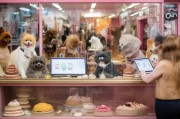 2024年宠物蛋糕店如何精准获客？这5招让门店爆满！