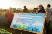 淄博农用水补贴申请指南，政策红利精准滴灌，惠农助农促增收