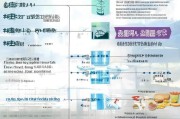 深圳餐饮补贴申请全流程指南，从条件到到账一文读懂
