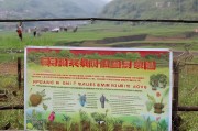 宁夏中草药种植补贴申请指南，政策红利直达田间地头