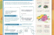 武汉孤儿补贴申请指南，政策解读、申请流程与注意事项