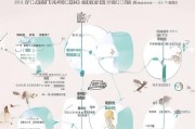 爱慕义乳申请流程指南，从申请到获批的全面解析