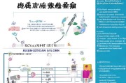 深圳市人才补贴申请全攻略，条件、流程、材料及注意事项