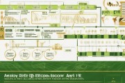 进口水稻补贴申请全攻略，条件、流程与注意事项