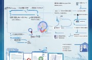 廊坊单位社保补贴申请全攻略，条件、流程与注意事项