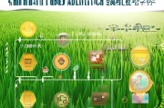 海丰基层就业补贴申请指南，政策红利助你扎根基层