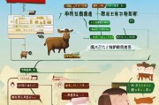 山西养牛补贴申请全攻略，政策解读、流程指南与注意事项