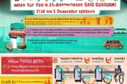 墨西哥汽油消费补贴申请指南，政策解读与操作流程