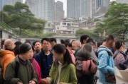 南京医保补贴申请暂停，政策调整背后的民生考量与应对之道