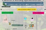 日本少儿看病补贴申请全攻略，条件、流程与注意事项