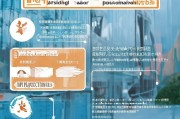 深圳自闭症儿童补贴申请全攻略，条件、流程与注意事项