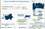 2024年养牛补贴申请时间指南，政策解读、流程与注意事项