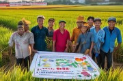 广西农户种粮补贴申请指南，政策红利直达田间，守护米袋子促农增收