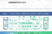 嘉定购车补贴政策全面解析，如何申请、补贴多少、注意事项一文读懂