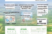 咸安区失地农民补贴申请全攻略，政策解读、流程指南与注意事项