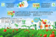 西红柿种子补贴申请指南，政策红利精准滴灌，助力农户增收致富