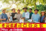 江西农村养蜂补贴申请指南，政策红利助农增收