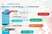 兰州高龄补贴申请指南，条件、流程与注意事项全解析