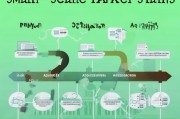 详解申请小规模纳税人流程，从准备到成功获批的每一步