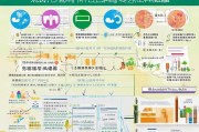 咸宁市学生补贴申请全攻略，政策解读、流程指南与注意事项