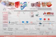 俄罗斯签证申请流程2023全面指南
