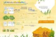 广西蜂蜜补贴申请全攻略，政策解读、申请条件与流程详解
