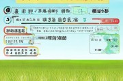 广东稻田补贴申请指南，全流程详解与办理地点