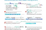 比亚迪新能源汽车补贴申请全流程详解，从资格到到账，一文读懂