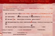 郑州2024春节返乡补贴申请指南，政策解读、流程详解与注意事项
