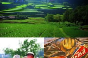 舜耕山庄，传承农耕文明，积极争取政策补贴助力乡村振兴
