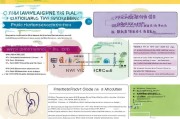 耳蜗申请补贴全指南，政策解读、流程详解与注意事项