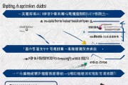 绍兴家政补贴申请全攻略，条件、流程、材料一文读懂