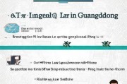 广东实习律师申请全攻略，从准备到成功申请的每一步
