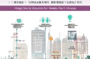深圳育儿补贴网上申请全攻略，流程、条件与注意事项