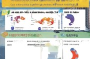 南京市租房补贴申请表填写指南，流程、材料与注意事项