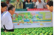 政策赋能产业扶贫 义乌西瓜补贴申请指南，从纸上红利到田间实惠