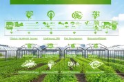 建大棚如何申请补贴？全面指南与实用技巧助您轻松申领